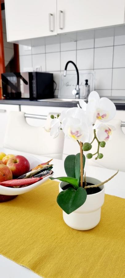 Apartments Severina روفينج المظهر الخارجي الصورة